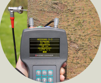 IML Micro Hammer樹(shù)木聲速測(cè)試儀